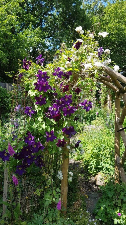 Bed and Breakfast Yr Hen Farcdy Talsarnau Esterno foto