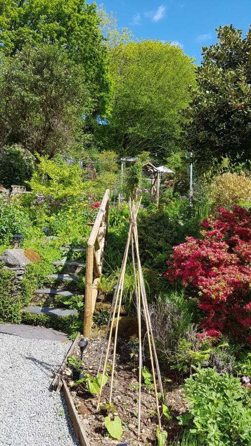 Bed and Breakfast Yr Hen Farcdy Talsarnau Esterno foto